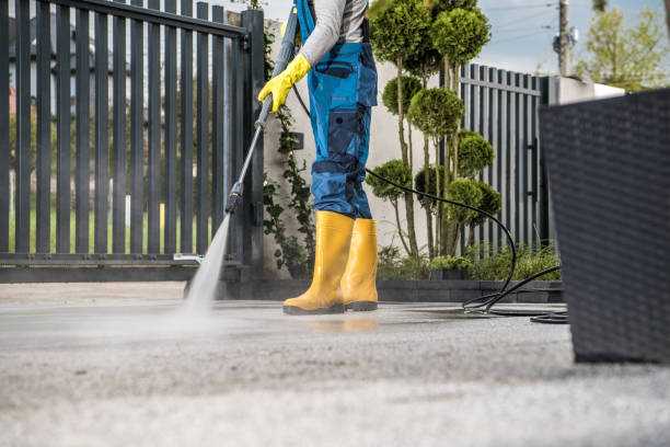 Best Sidewalk and Walkway Cleaning  in Lake Mary Jane, FL